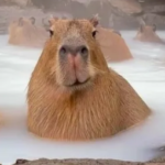 Billi_anna Billi_anna