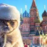 sergeeva-nina sergeeva-nina