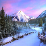 Yuli Tymochko Yuli Tymochko