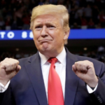 Trampapamp Trampapamp