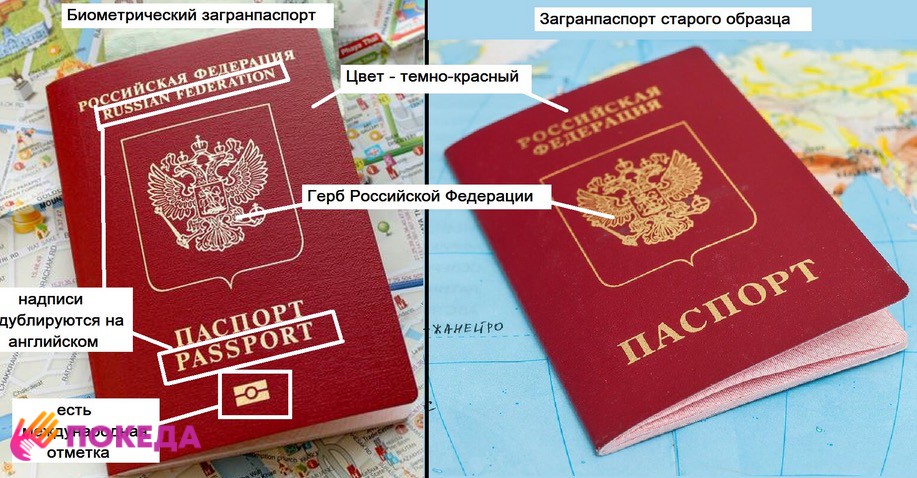 отличие биометрического паспрта от старого