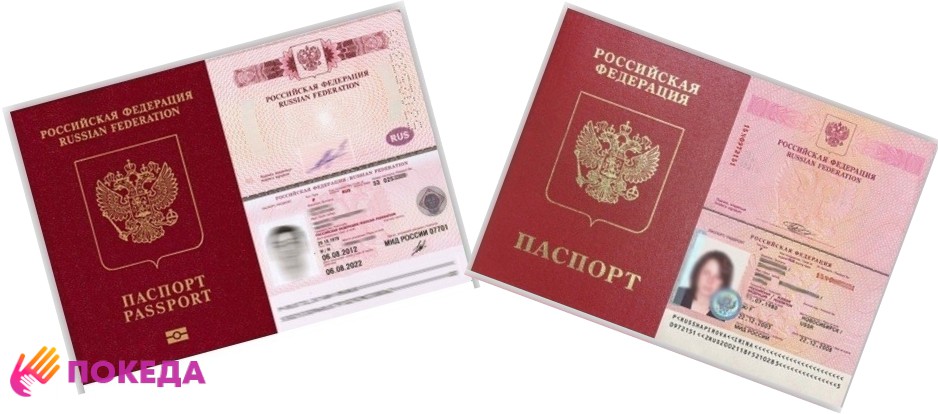 Чем отличается фото на паспорт рф и загранпаспорт