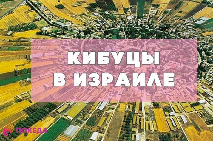 кибуцы и поселения в Израиле