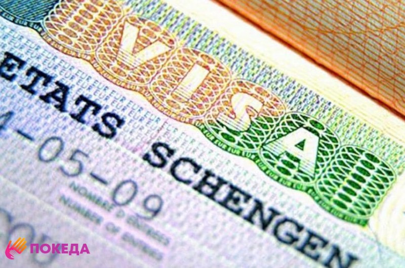 Официальный сайт проверки паспорта на действительность