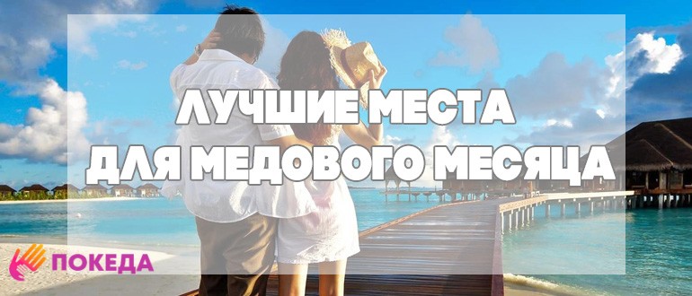 Медовый месяц