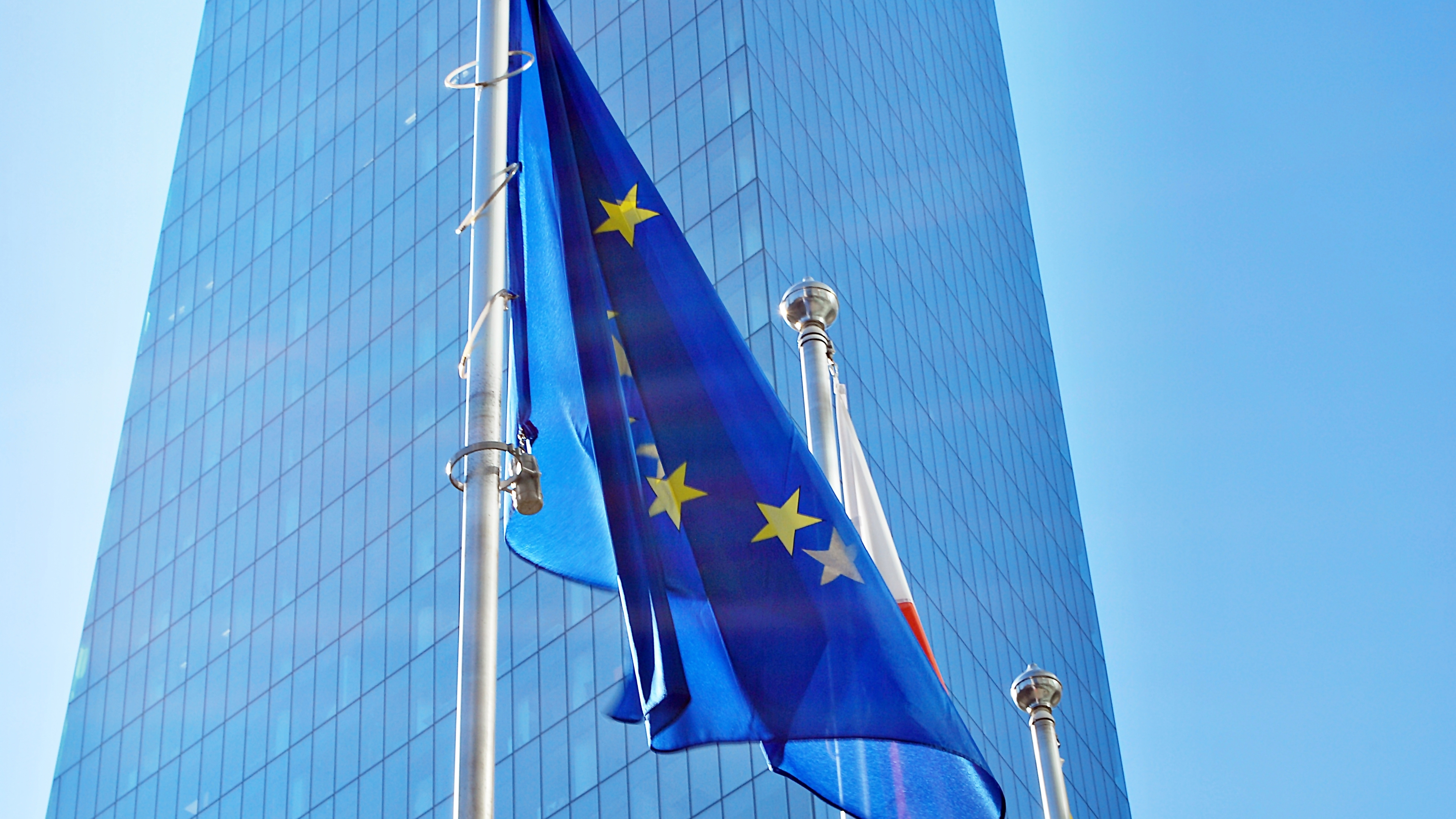 Флаг ЕС как символ гражданства и паспорта Евросоюза
