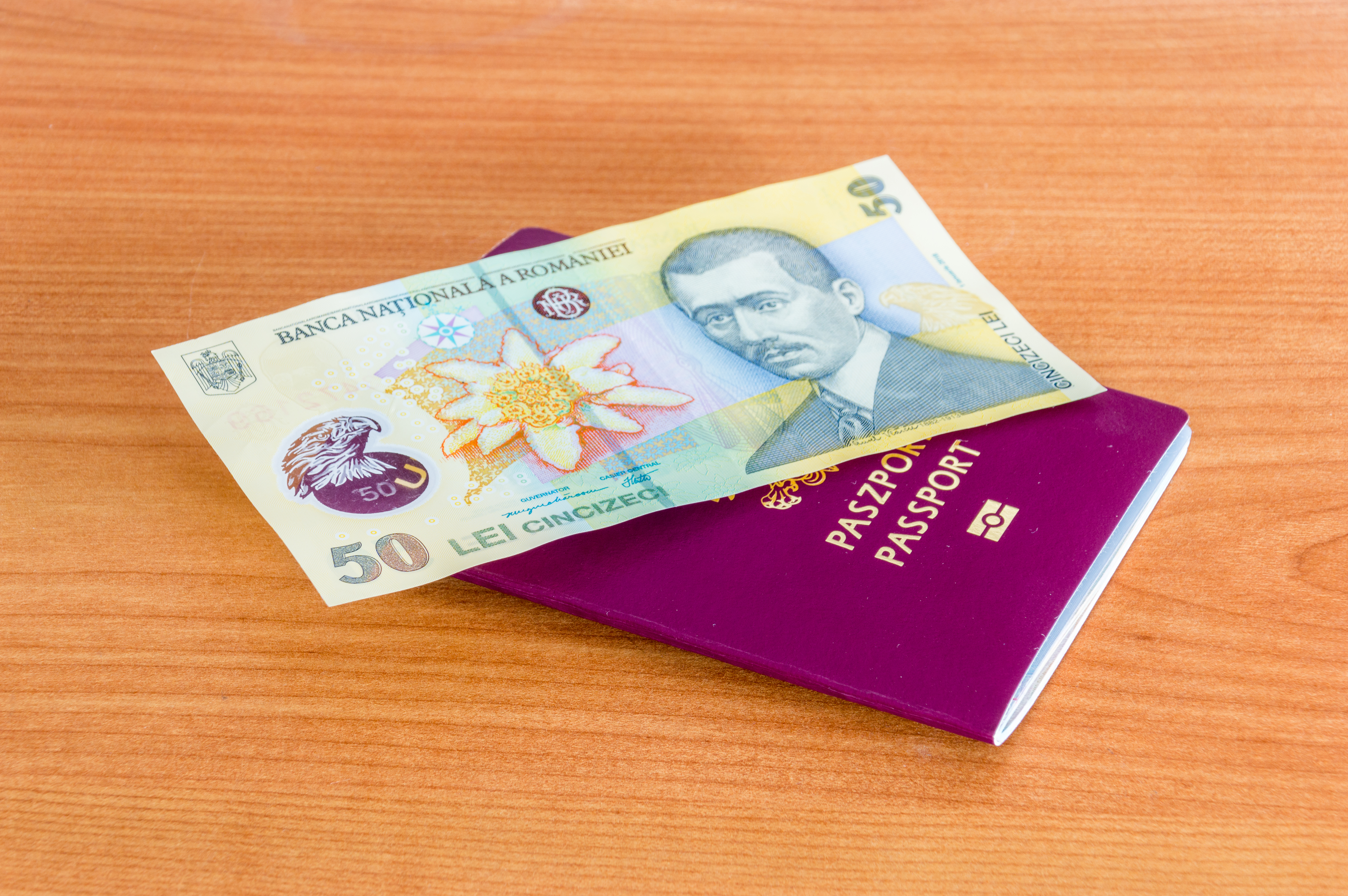 Деньги и паспорт, который можно получить за инвестиции в Румынии
