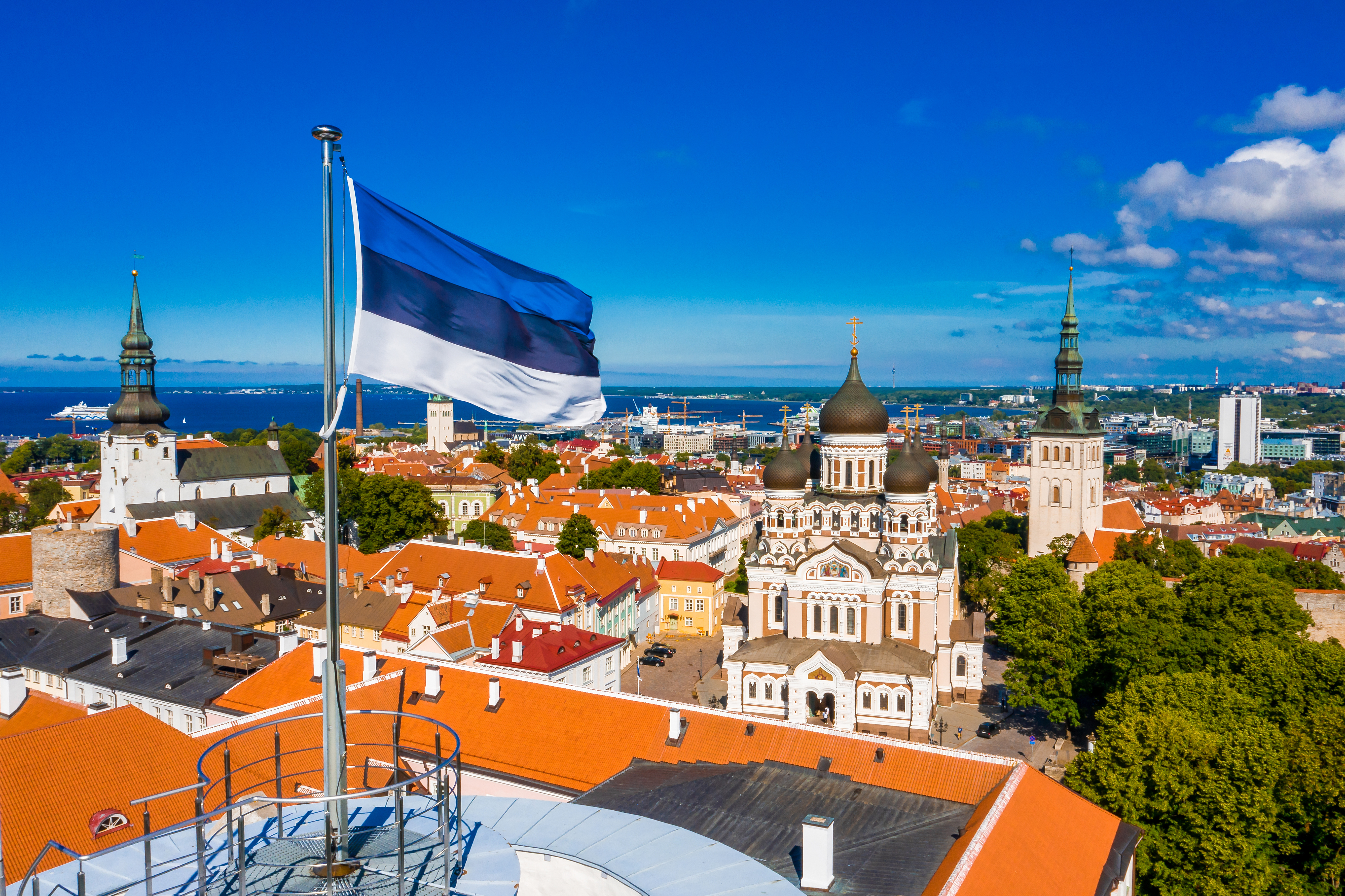 Эстонский флаг на фоне Таллинна, столицы Эстонии, ВНЖ которой могут получить россияне, украинцы и белорусы