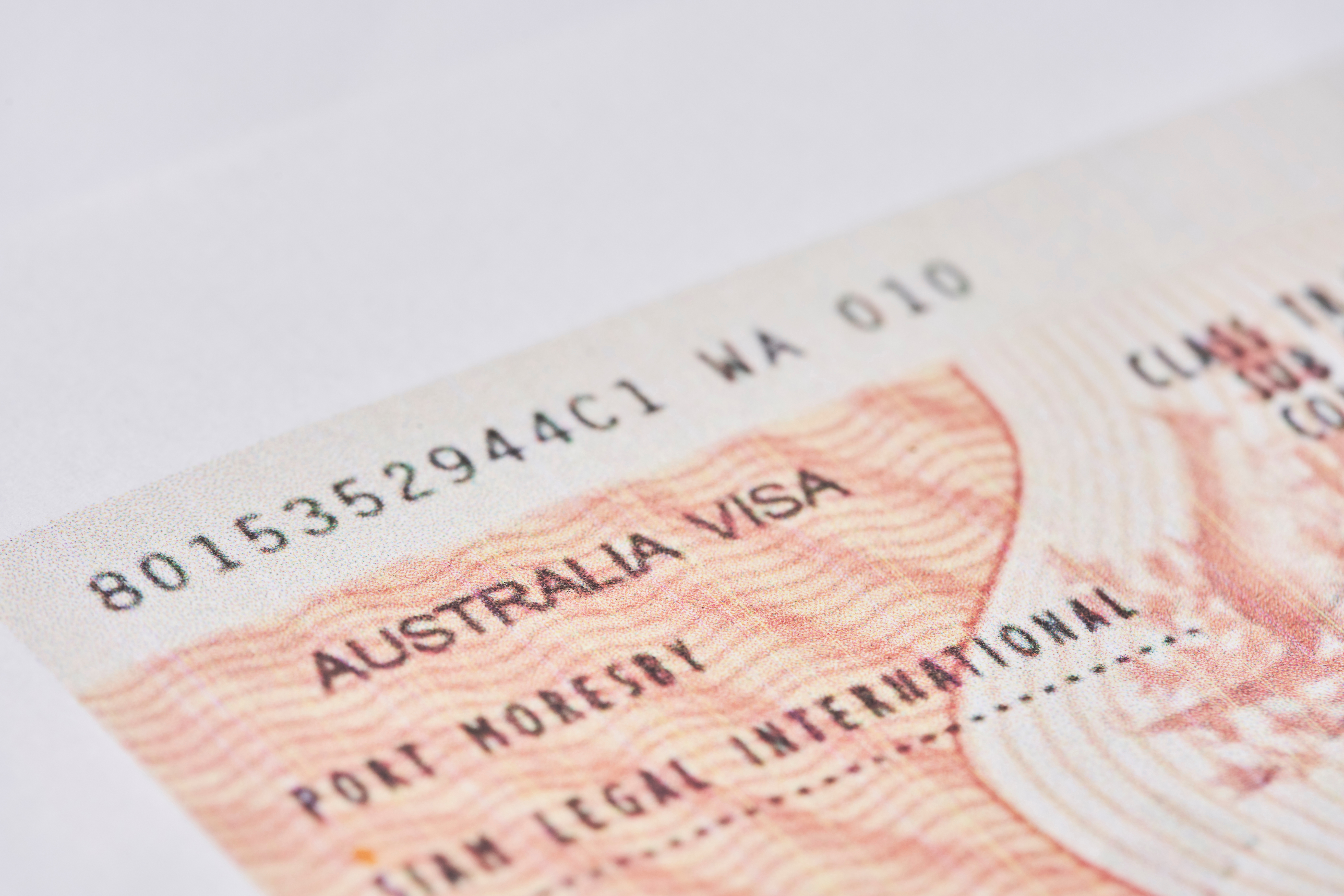 Виза, которая понадобится иностранцам для работы в Австралии