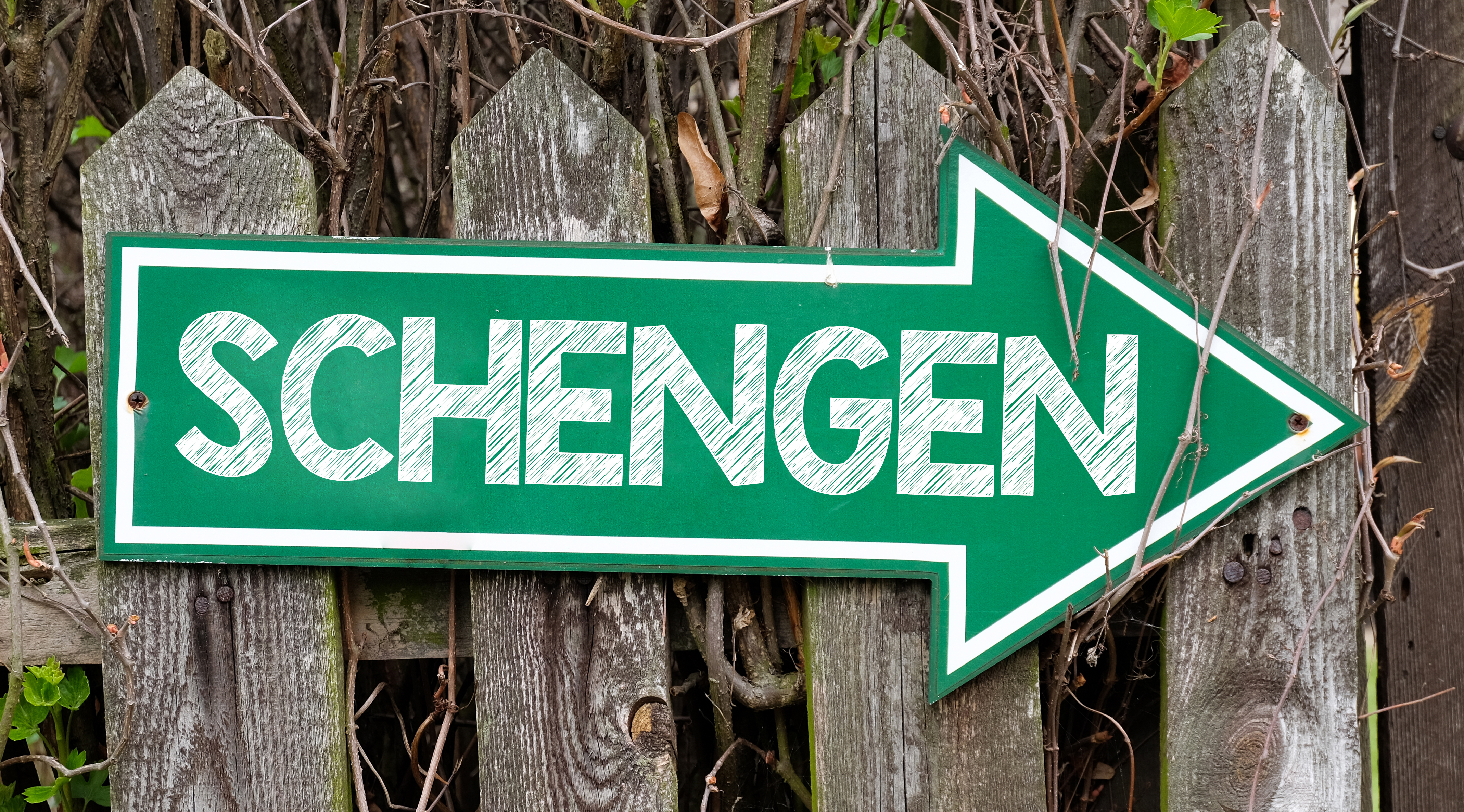 Шенген: сроки действия и сроки пребывания для россиян