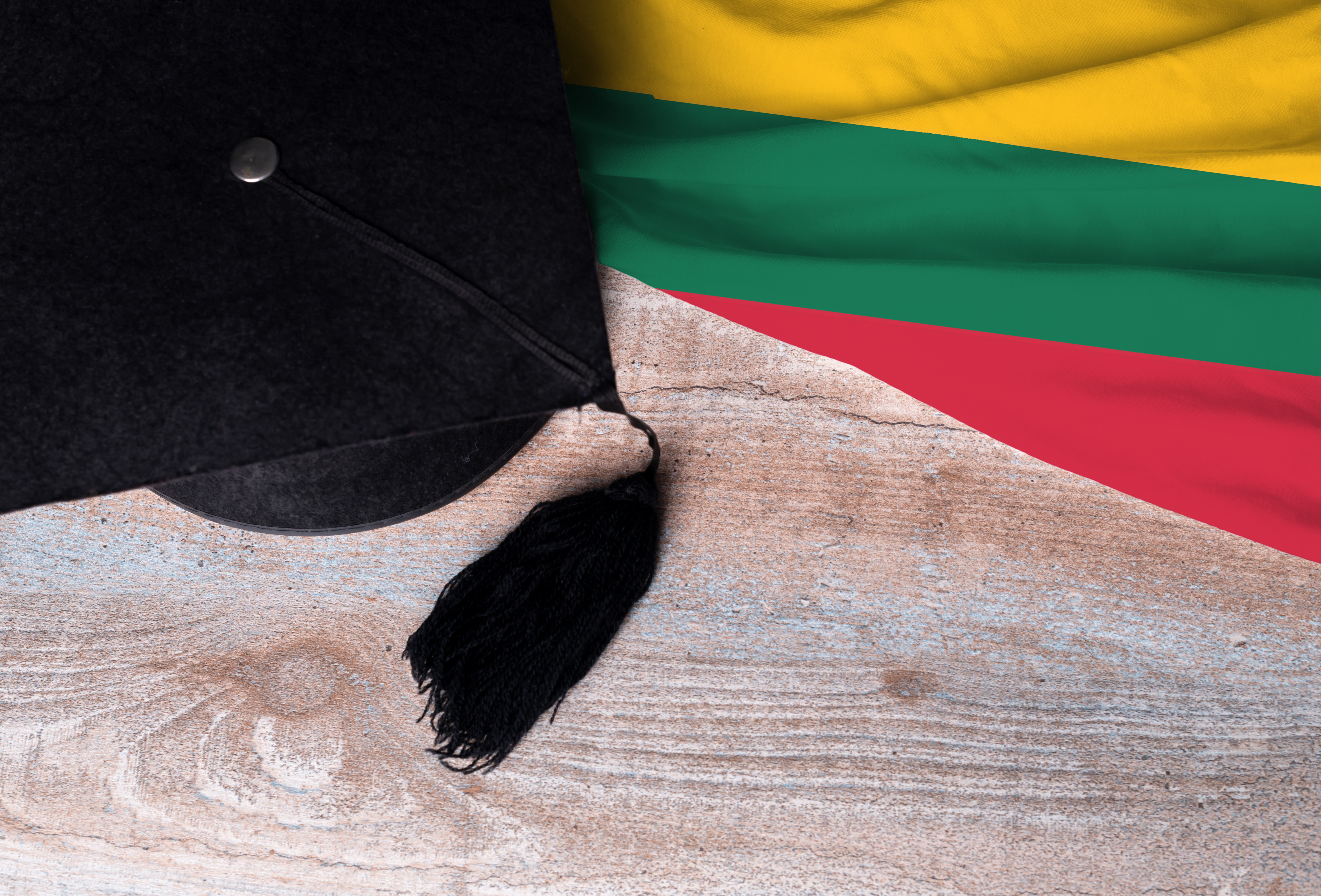 Концепция получения образования в Литве