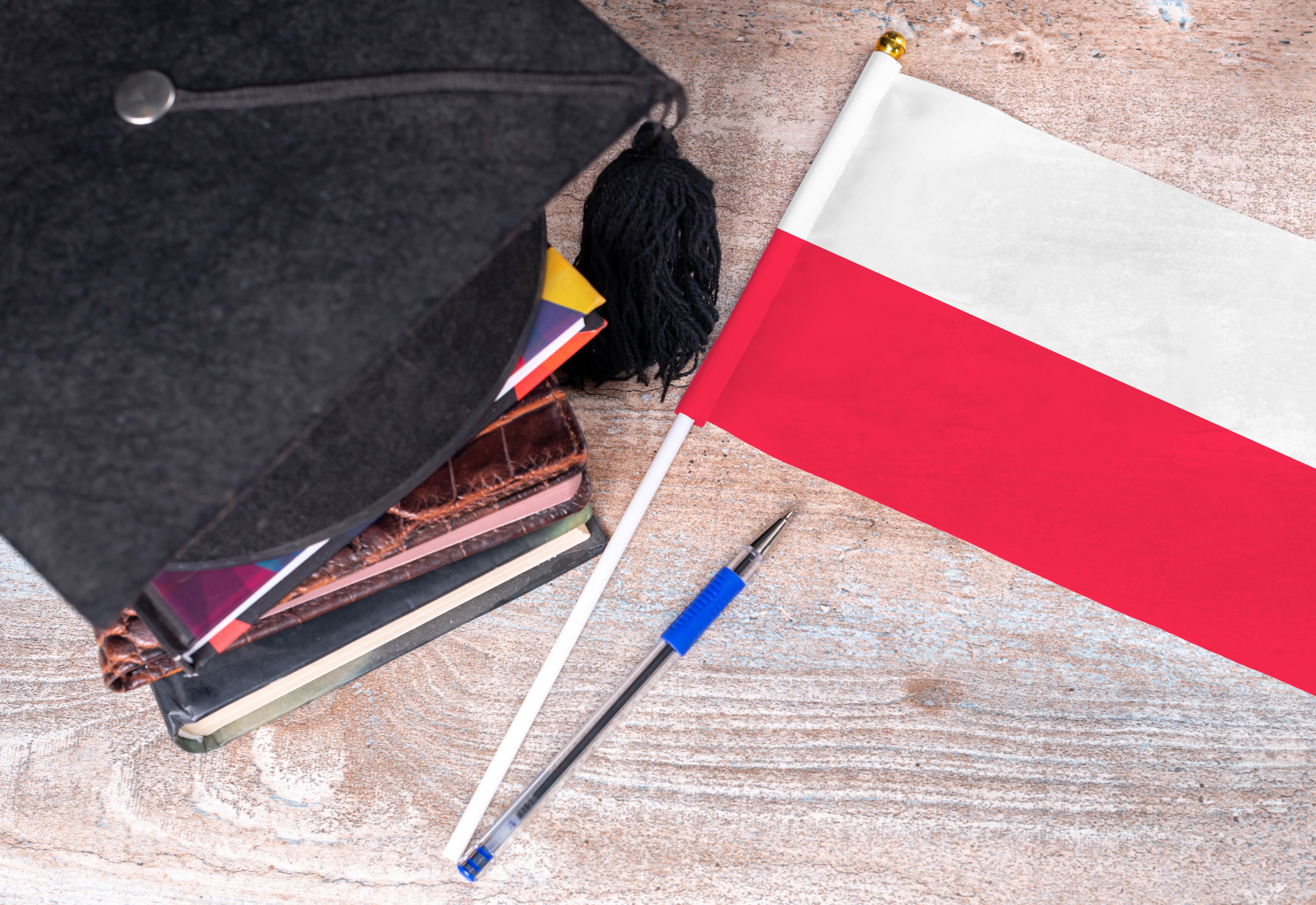 Концепция получения образования в Польше