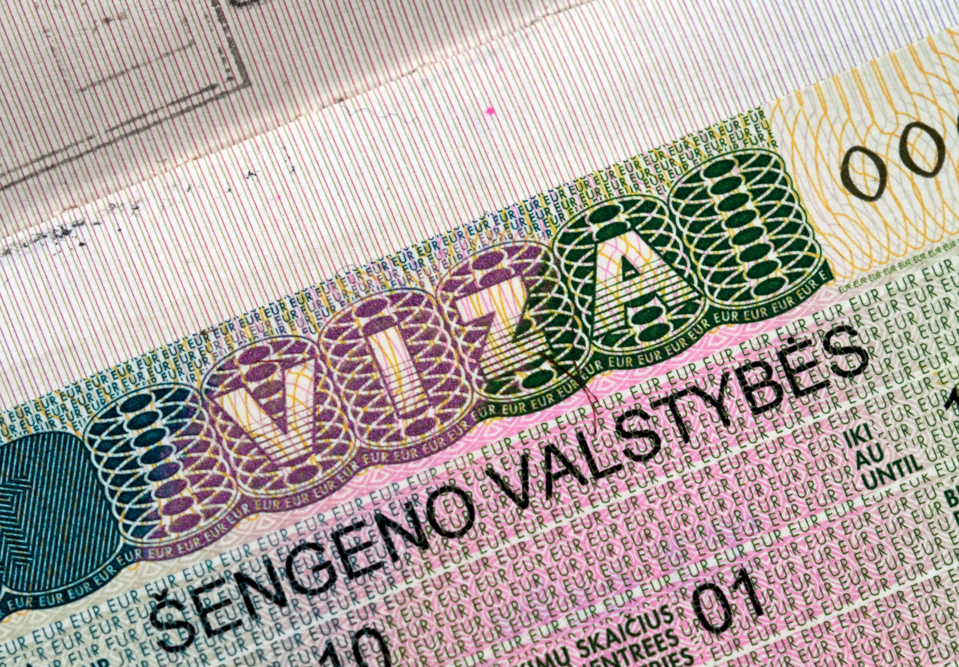 Литовская виза, которую могут оформить иностранцы